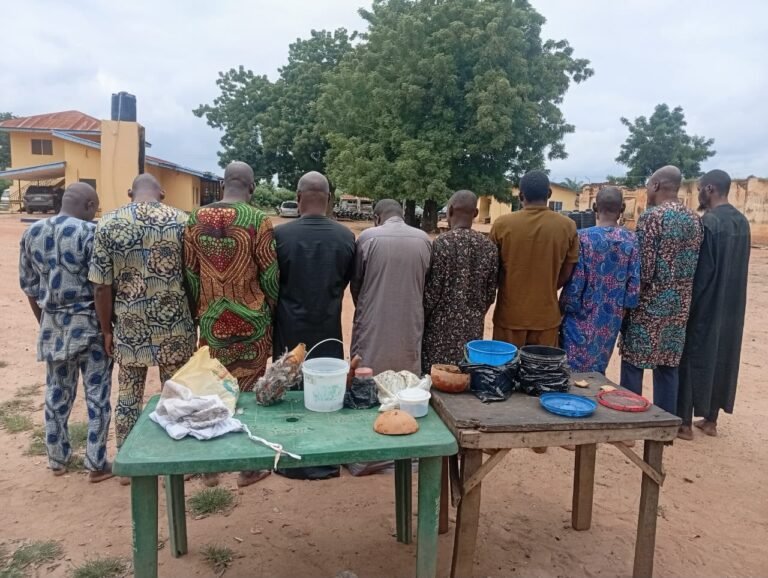 Police arrest 10 suspected human parts sellers in Oyo