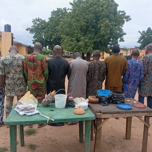 Police arrest 10 suspected human parts sellers in Oyo